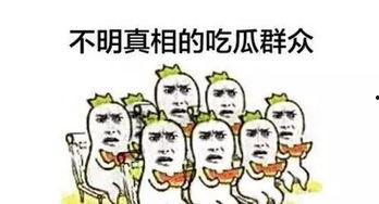 吃瓜群众联系你,吃瓜群众视角下的娱乐圈风云录