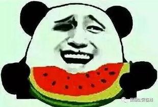 吃瓜群众微信群,揭秘网络社交的趣味与争议