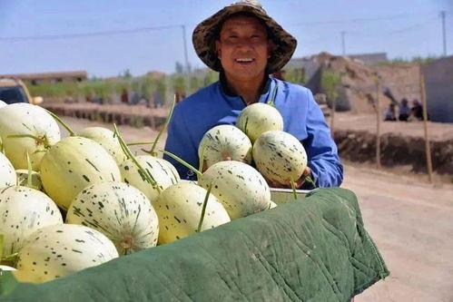 东关吃瓜群众是哪一集,揭秘热门剧集背后的神秘一集