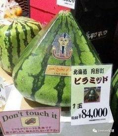 站在世界顶端的吃瓜群众,揭秘全球热点背后的真相