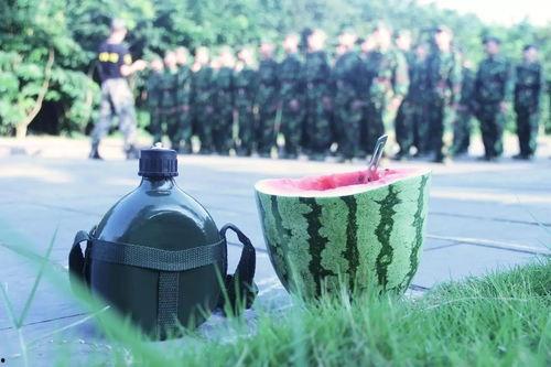 站在世界顶端的吃瓜群众,揭秘全球热点背后的真相