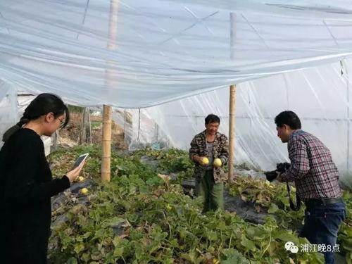 吃瓜群众文水,吃瓜群众眼中的风云变幻