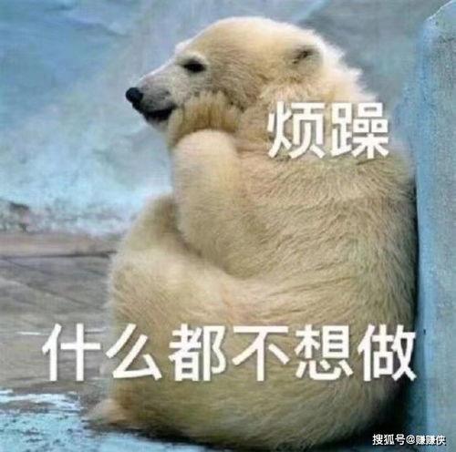 五十个吃瓜群众图片,一场视觉盛宴