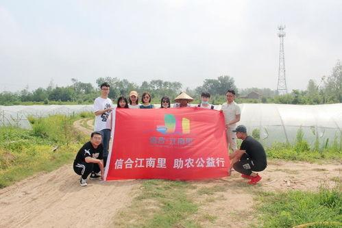 吃瓜群众岱岱论坛,吃瓜群众热议,揭秘网络热点背后的故事