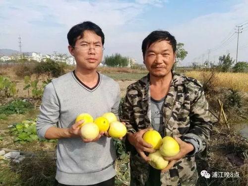 吃瓜群众金三角,揭秘神秘三角洲的瓜田秘事