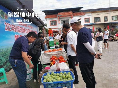 吃瓜群众第五集在线观看,揭秘幕后真相,精彩剧情抢先看