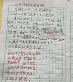 高中生作文 吃瓜群众,揭秘网络时代的围观文化