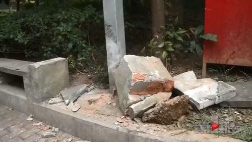 江北吃瓜群众,揭秘本地热点事件背后的真相