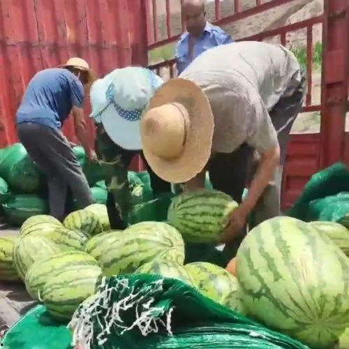 广河吃瓜群众事件视频