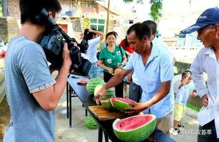 青岩吃瓜群众事迹,吃瓜群众事迹传颂