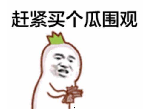 吃瓜群众抠图表情包动图,趣味横生的动图盛宴